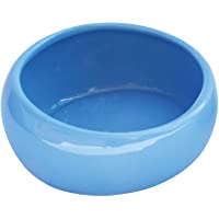 Los mejores  - LIVING WORLD Comedero Ergonómico Grande- Color Azul